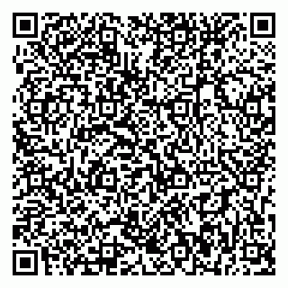vCard 79393856833