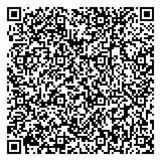 vCard 79393856851
