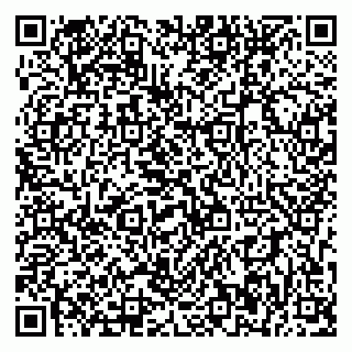 vCard 79393856894