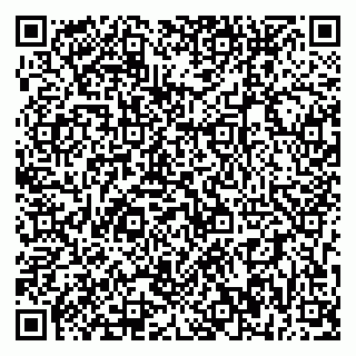vCard 79393856897