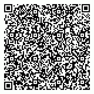 vCard 79393856903