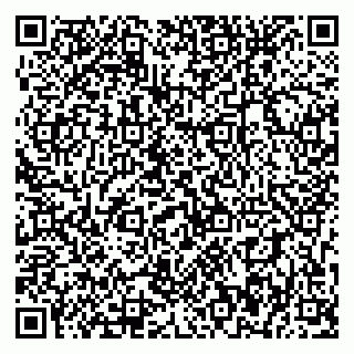 vCard 79393856952