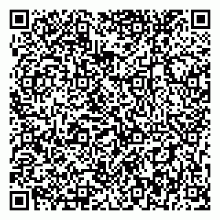 vCard 79393856961