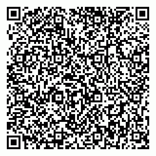 vCard 79393856981