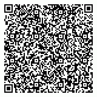 vCard 79393857009