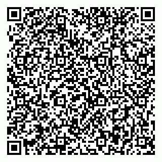 vCard 79393857030
