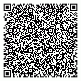 vCard 79393857063