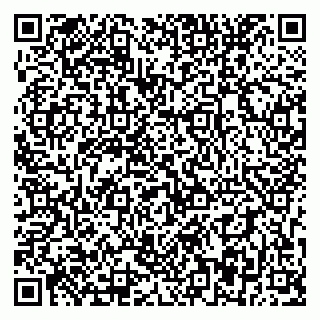 vCard 79393857069