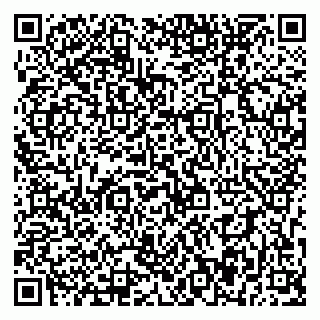 vCard 79393857083