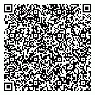 vCard 79393857096