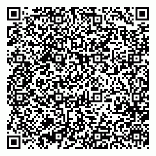 vCard 79393857100