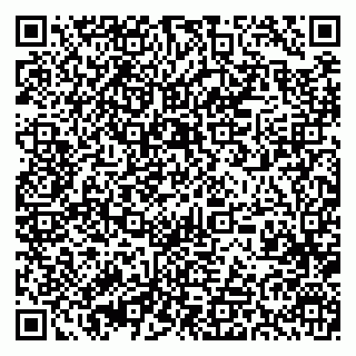 vCard 79393857875