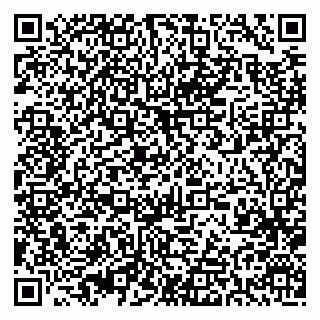 vCard 79393857933