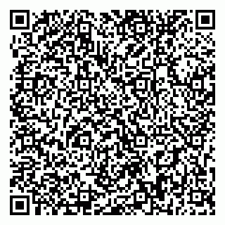 vCard 79393858147