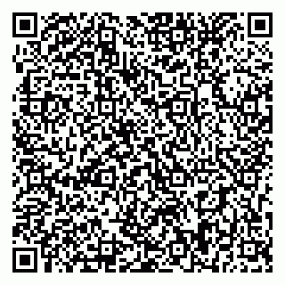 vCard 79393858373