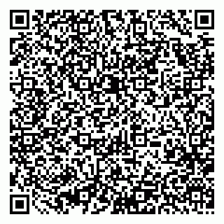 vCard 79393858379
