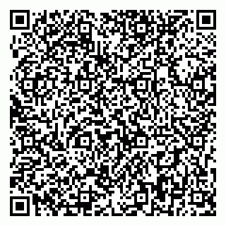 vCard 79393858409