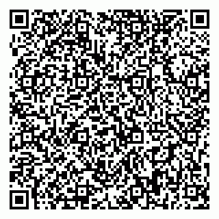 vCard 79393858487