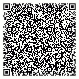 vCard 79393858502