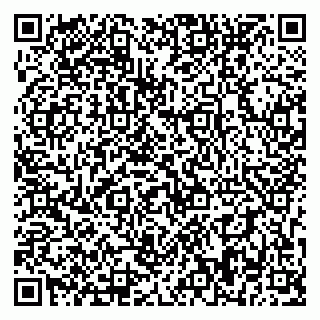 vCard 79393858503