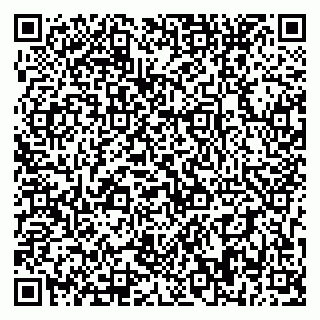 vCard 79393858527