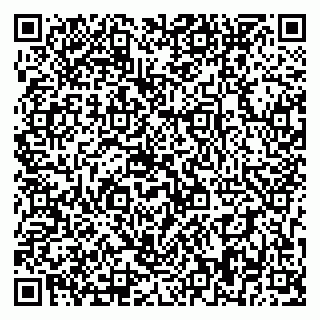 vCard 79393858581