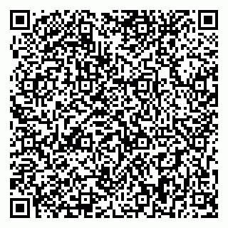 vCard 79393858631