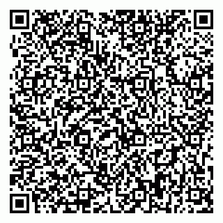 vCard 79393858645