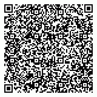 vCard 79393858715