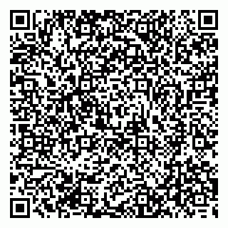 vCard 79393858719