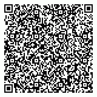 vCard 79393858727