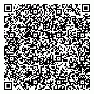 vCard 79393858730