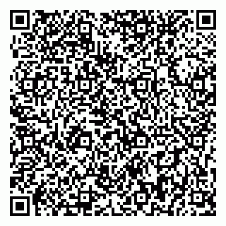 vCard 79393858732