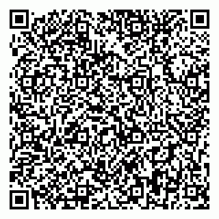 vCard 79393858739