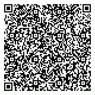 vCard 79393858771