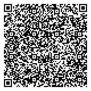vCard 79393858809