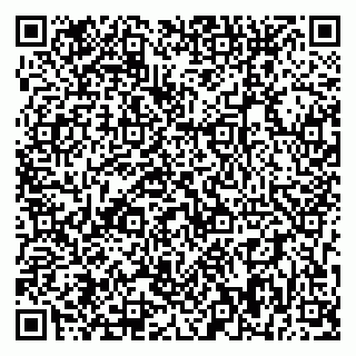 vCard 79393858813