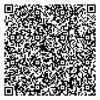 vCard 79393858815