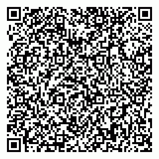 vCard 79393858816
