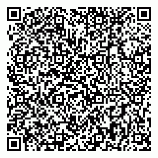 vCard 79393858852