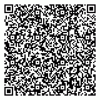 vCard 79393858869