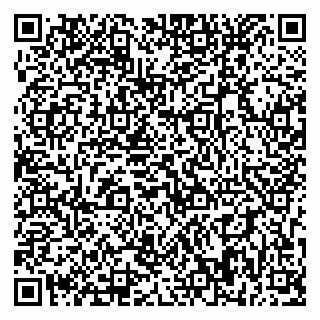 vCard 79393858877