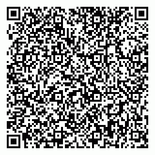 vCard 79393858944