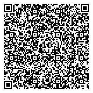 vCard 79393858985