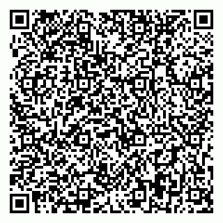 vCard 79393859009