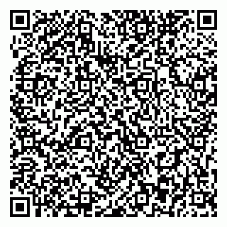 vCard 79393863620