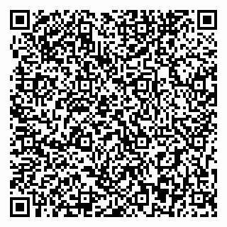 vCard 79393863628
