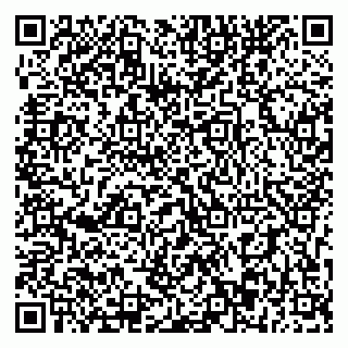 vCard 79393863657