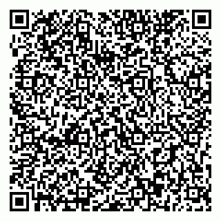 vCard 79393863667
