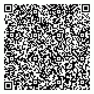vCard 79393863679